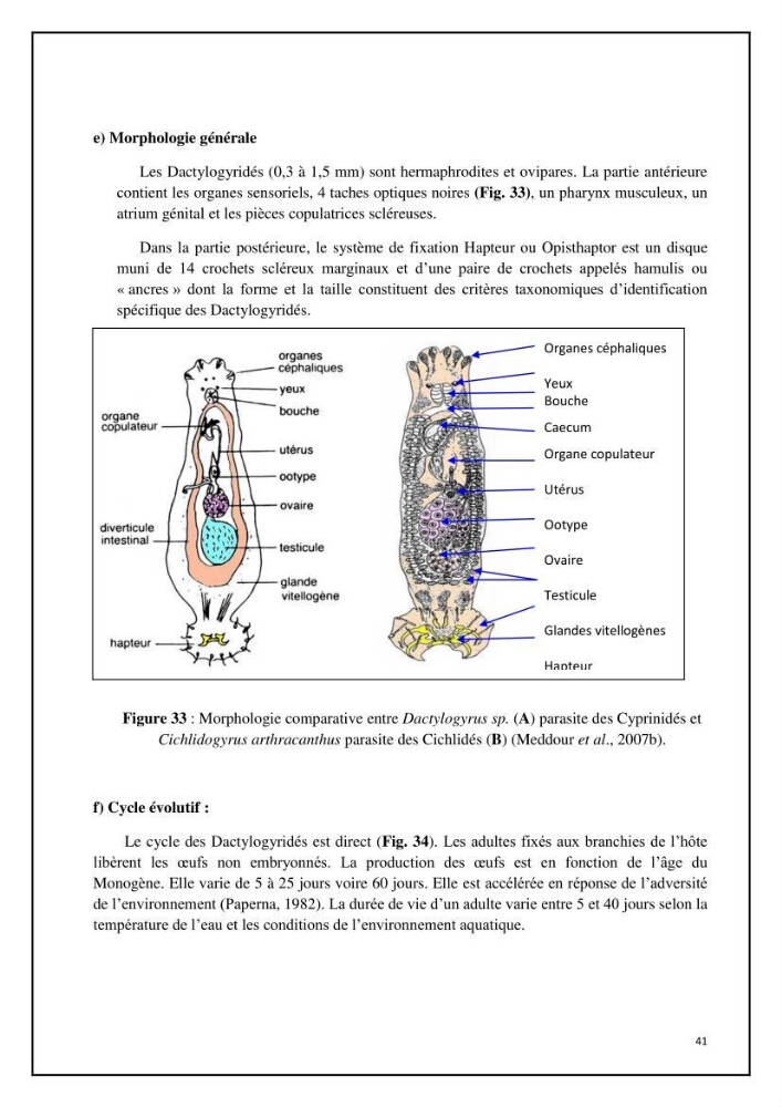 Inventaire de la parasitofaune des poissons dulcicoles d\'Algérie