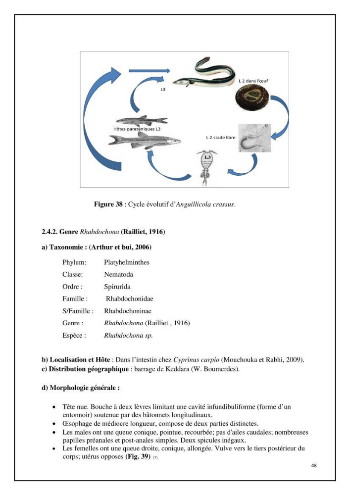 Inventaire de la parasitofaune des poissons dulcicoles d\'Algérie