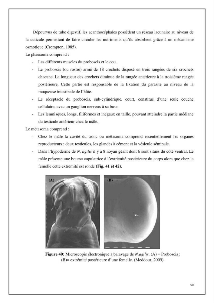 Inventaire de la parasitofaune des poissons dulcicoles d\'Algérie