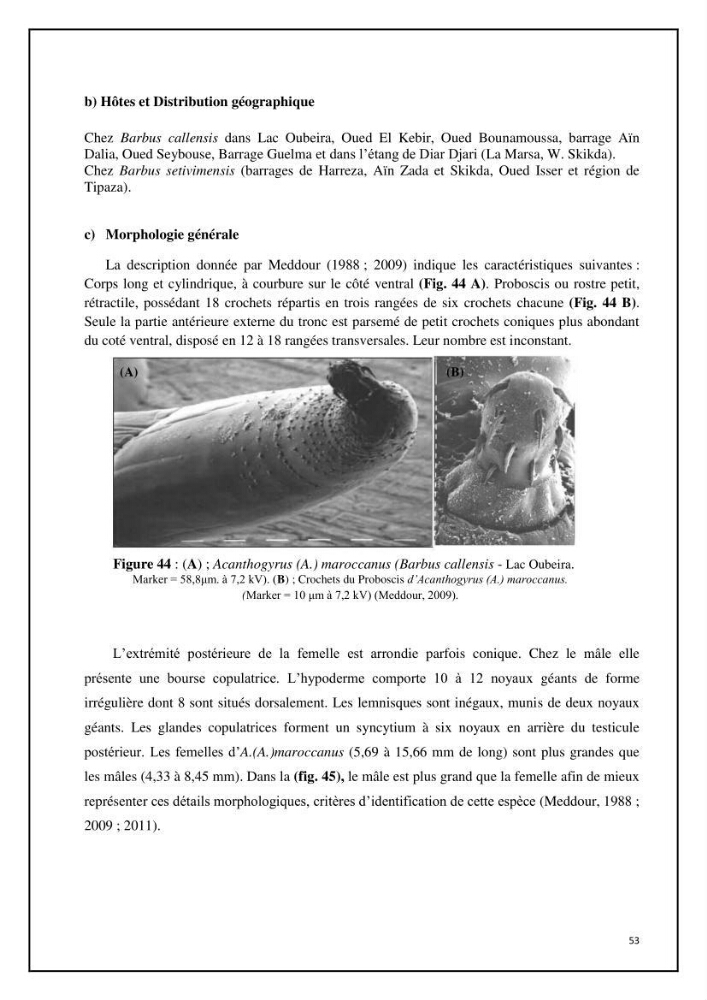 Inventaire de la parasitofaune des poissons dulcicoles d\'Algérie