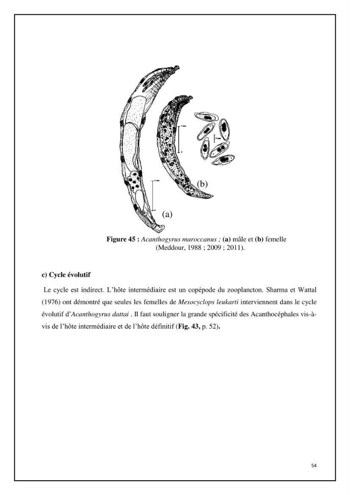Inventaire de la parasitofaune des poissons dulcicoles d\'Algérie