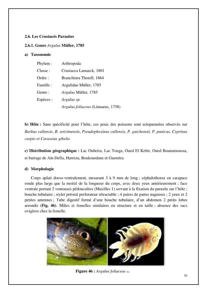 Inventaire de la parasitofaune des poissons dulcicoles d\'Algérie