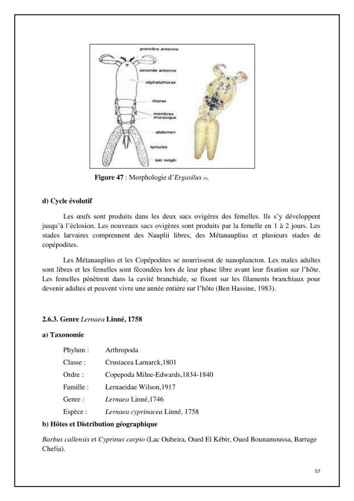Inventaire de la parasitofaune des poissons dulcicoles d\'Algérie