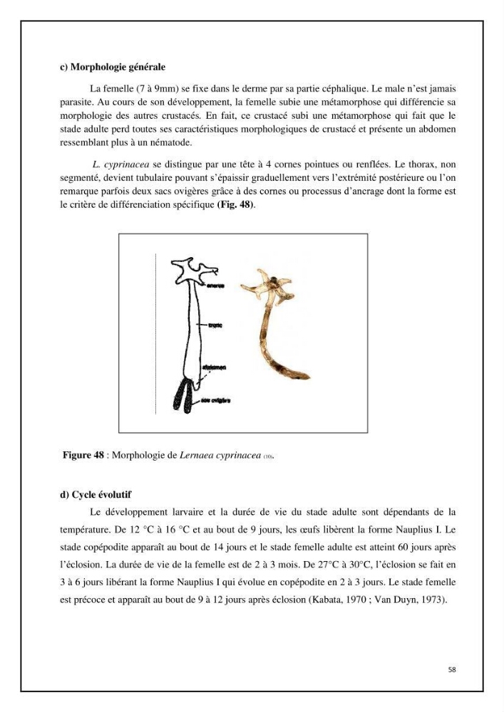 Inventaire de la parasitofaune des poissons dulcicoles d\'Algérie