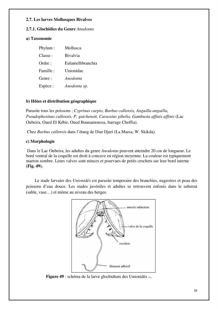 Inventaire de la parasitofaune des poissons dulcicoles d\'Algérie