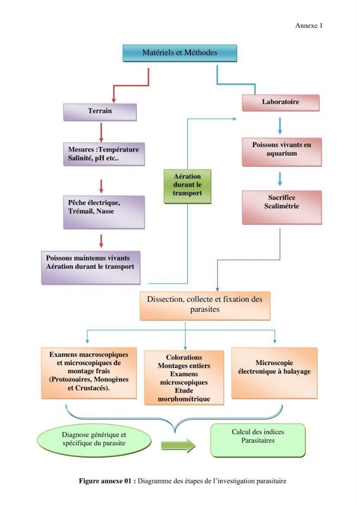Inventaire de la parasitofaune des poissons dulcicoles d\'Algérie