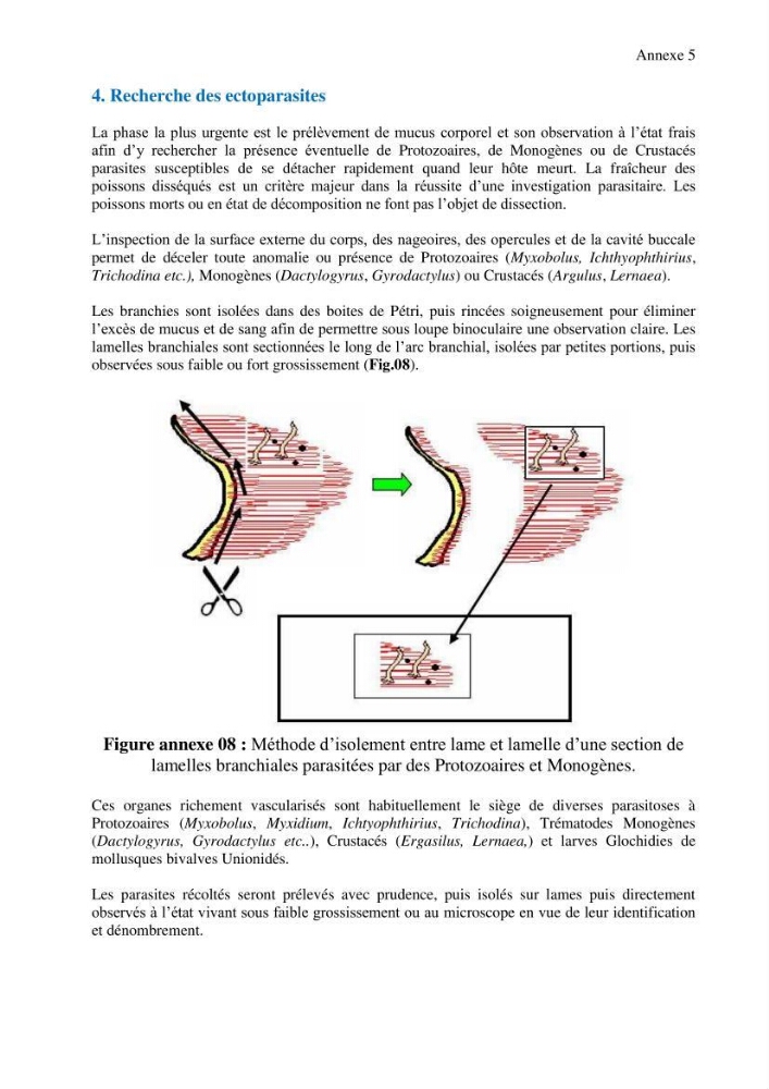 Inventaire de la parasitofaune des poissons dulcicoles d\'Algérie
