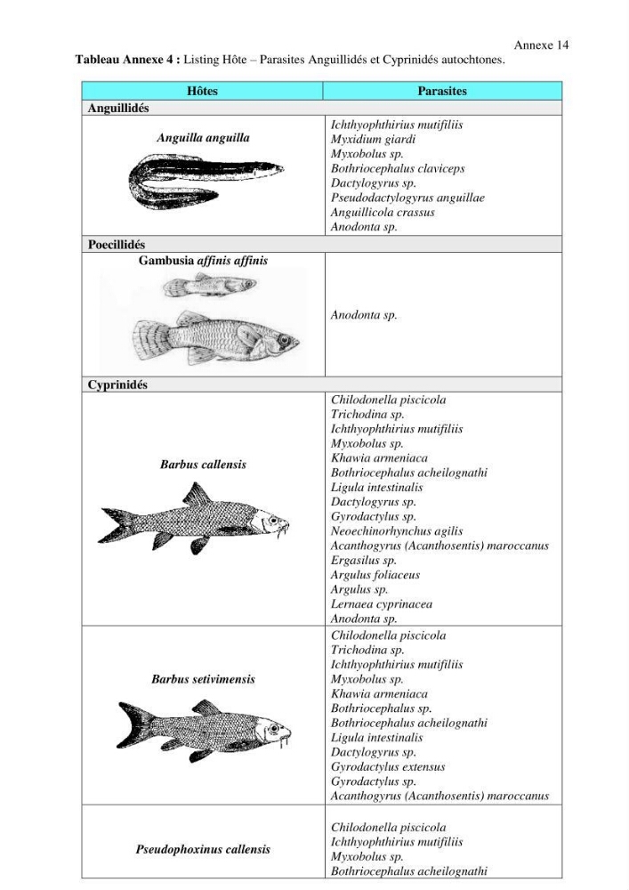 Inventaire de la parasitofaune des poissons dulcicoles d\'Algérie