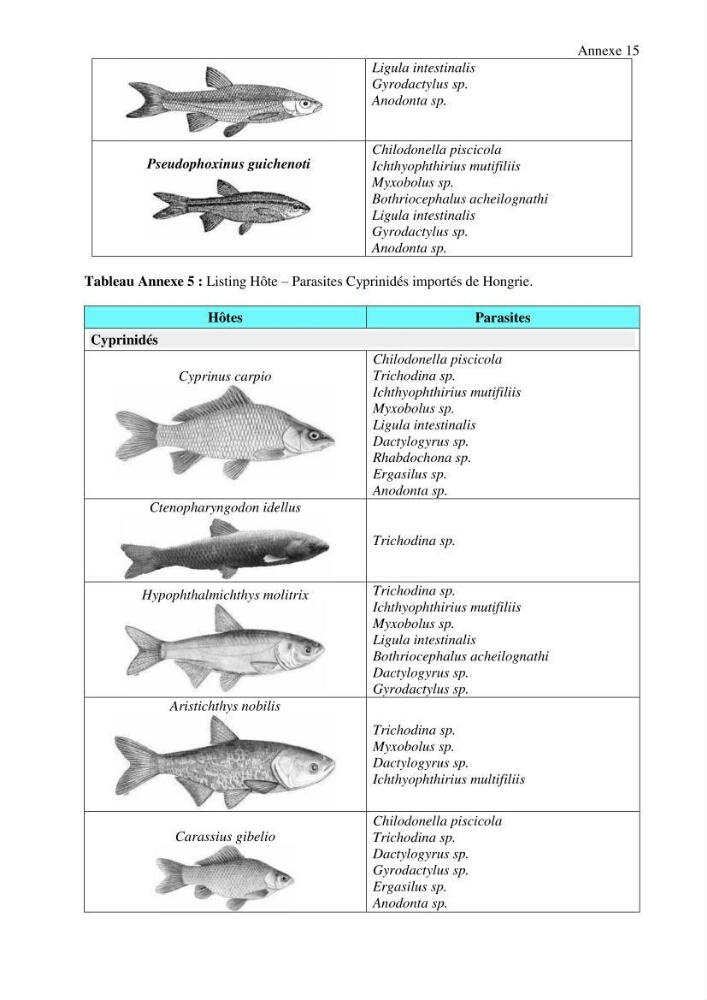 Inventaire de la parasitofaune des poissons dulcicoles d\'Algérie
