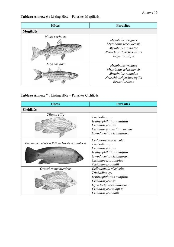 Inventaire de la parasitofaune des poissons dulcicoles d\'Algérie