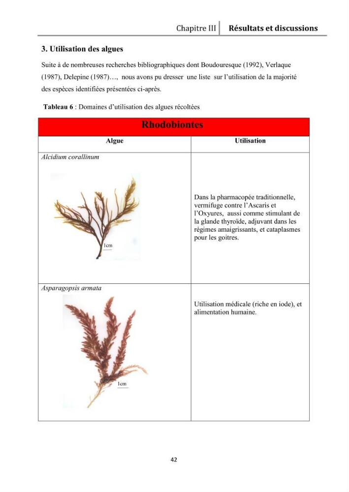Recherche des espèces algales à intérêt aquacole dans la région de Tipaza: utilisation et valorisation