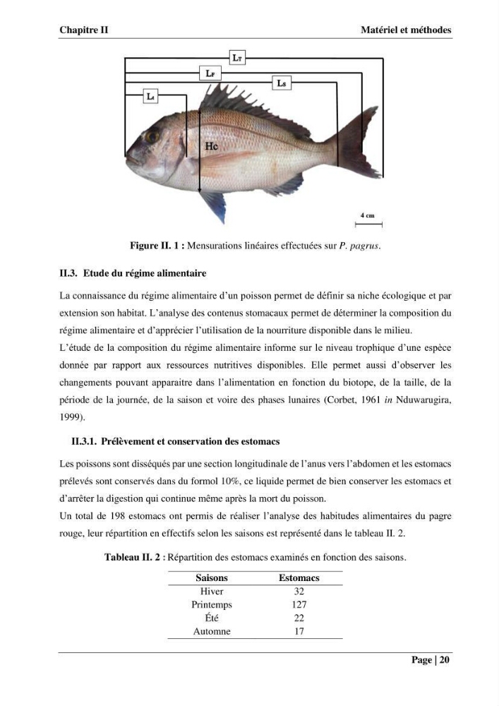 Contribution à la connaissance du pagre commun Pagrus pagrus (Linnaeus, 1758) de la région centre algérienne: Régime alimentaire, dynamique de la population et évalution du stock