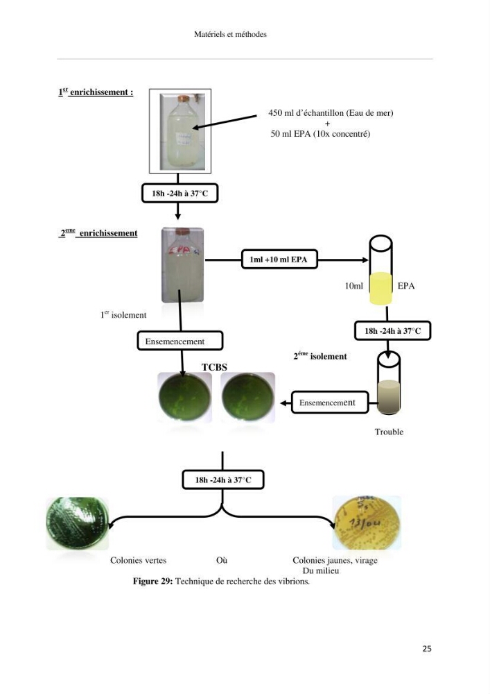 Les paramétres physico-chimiques et biologiques de la zone Ouest de Sidi-Fredj