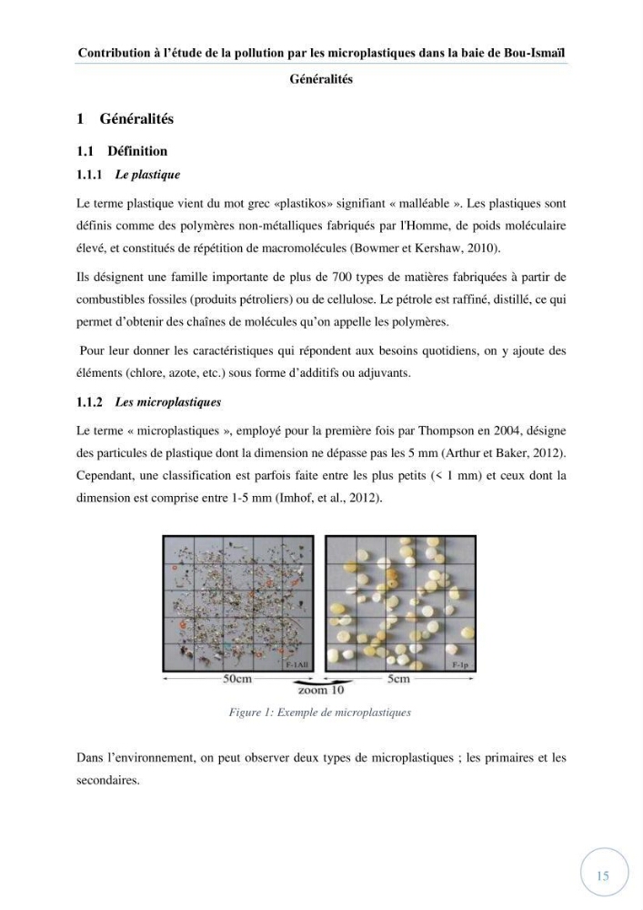 Contribution à l\'étude de la pollution par les micro-plastiques dans la baie de Bou-Ismail
