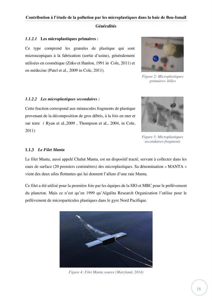 Contribution à l\'étude de la pollution par les micro-plastiques dans la baie de Bou-Ismail
