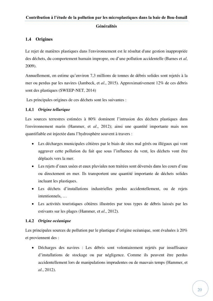 Contribution à l\'étude de la pollution par les micro-plastiques dans la baie de Bou-Ismail