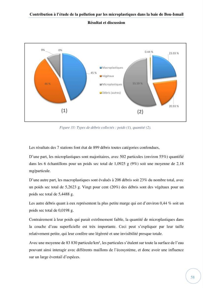 Contribution à l\'étude de la pollution par les micro-plastiques dans la baie de Bou-Ismail