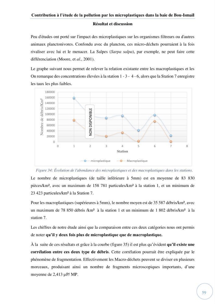 Contribution à l\'étude de la pollution par les micro-plastiques dans la baie de Bou-Ismail