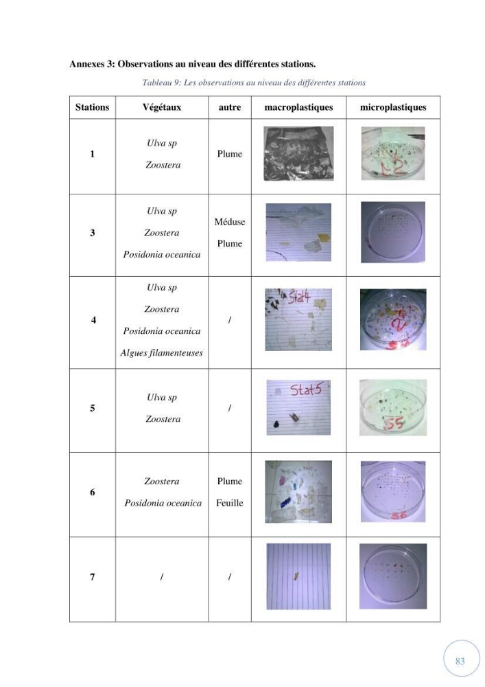 Contribution à l\'étude de la pollution par les micro-plastiques dans la baie de Bou-Ismail