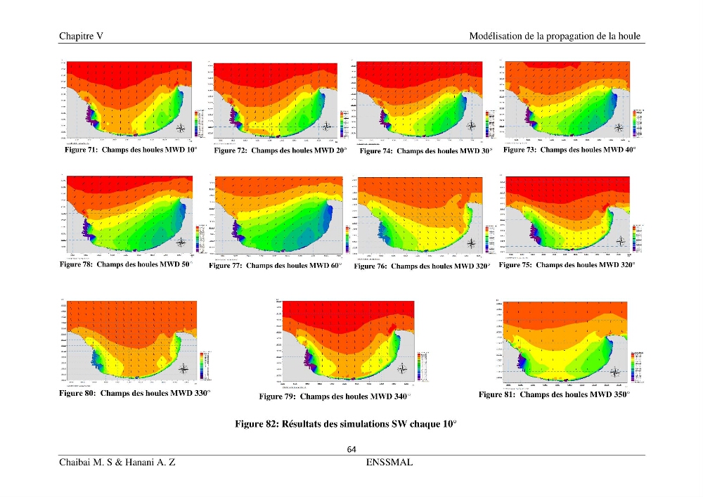 Modélisation hydrodynamique et étude d’agitation: (Cas de la Marina Bay D’Alger)