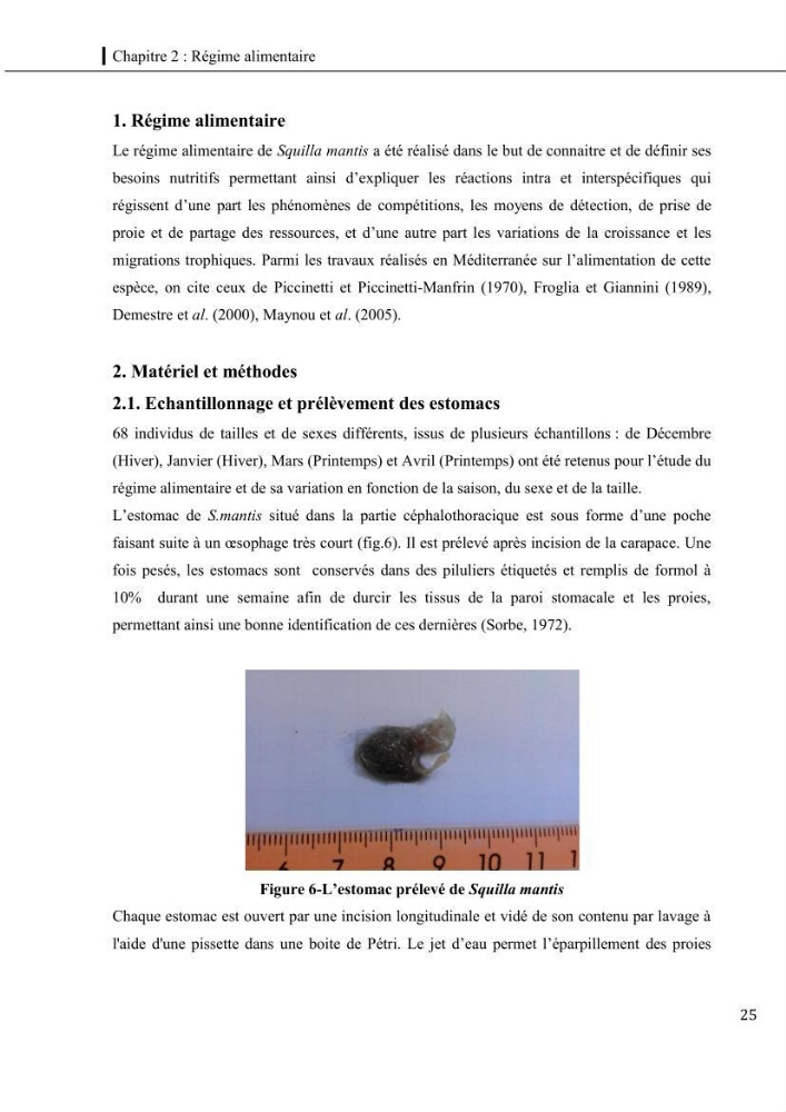 Contribution a l\'étude du régime alimentaire, de la croissance et de l\'exploitation de la squille squilla mantis linnaeus ,1758 dans la baie de bou-ismail.: