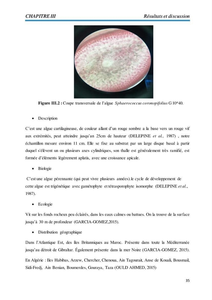 Contribution à l’élaboration d’un complément alimentaire algale destiné à l’amélioration de la pigmentation des poissons d’élevage :