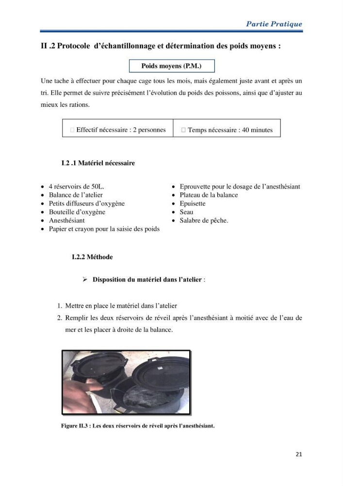 Contribution au rationnement alimentaire du loup de mer Dicentrachus labrax (Linnaeus, 1758) Cas de l’élevage biologique de la station Provence Aquaculture (Marseille _ France):