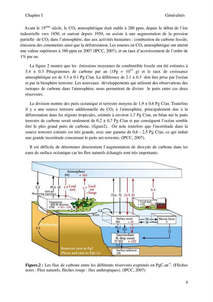 Etude des paramètres du système des carbonates dans le bassin Algérien
