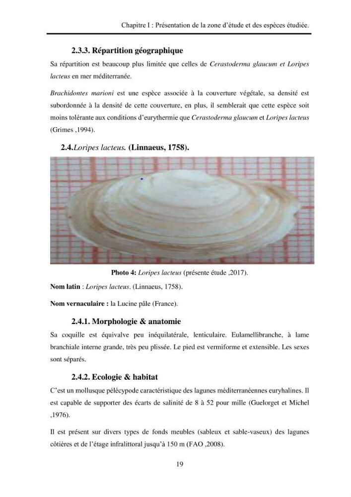 Organisation des populations de Cerastoderma glaucum, Ruditapes decussatus, espèces d’intérêt aquacole dans les élevages extensifs au niveau du lac Mellah (EL Kala).