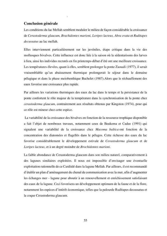 Organisation des populations de Cerastoderma glaucum, Ruditapes decussatus, espèces d’intérêt aquacole dans les élevages extensifs au niveau du lac Mellah (EL Kala).