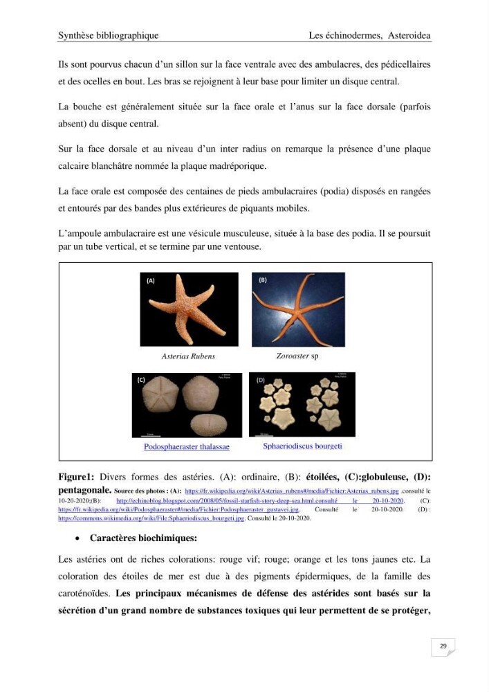 Optimisation des conditions d’extraction par micro-ondes et ultrasons des saponines et des caroténoïdes de deux Échinodermes Astéroidea de la marge algérienne (Echinaster sepositus et Ophidiaster ophidianus) et étude de leurs activités biologiques