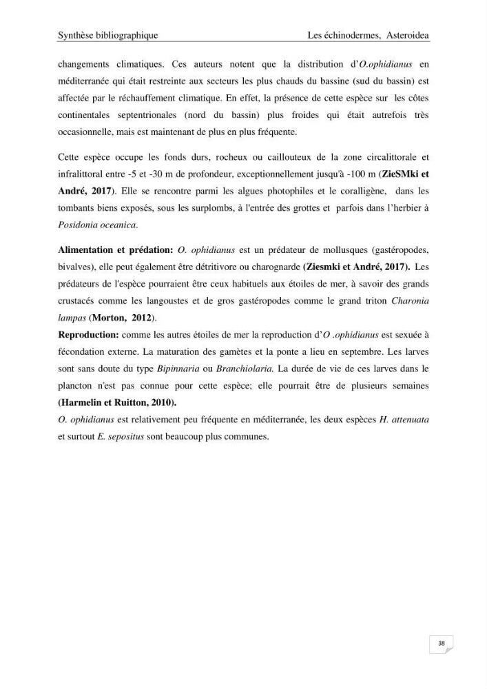 Optimisation des conditions d’extraction par micro-ondes et ultrasons des saponines et des caroténoïdes de deux Échinodermes Astéroidea de la marge algérienne (Echinaster sepositus et Ophidiaster ophidianus) et étude de leurs activités biologiques