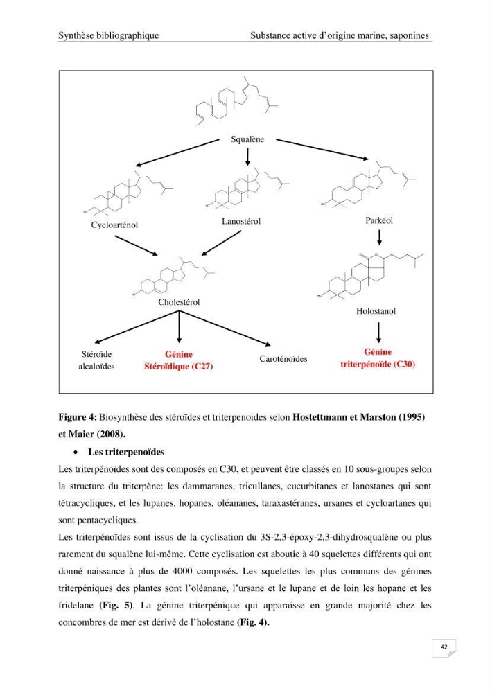 Optimisation des conditions d’extraction par micro-ondes et ultrasons des saponines et des caroténoïdes de deux Échinodermes Astéroidea de la marge algérienne (Echinaster sepositus et Ophidiaster ophidianus) et étude de leurs activités biologiques