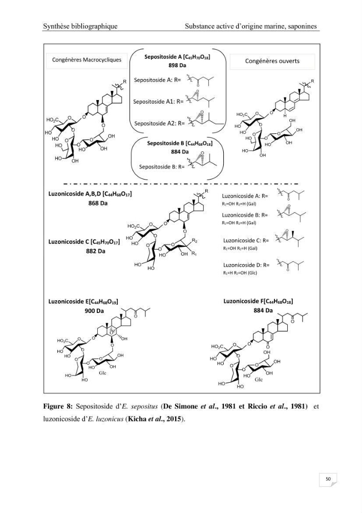 Optimisation des conditions d’extraction par micro-ondes et ultrasons des saponines et des caroténoïdes de deux Échinodermes Astéroidea de la marge algérienne (Echinaster sepositus et Ophidiaster ophidianus) et étude de leurs activités biologiques