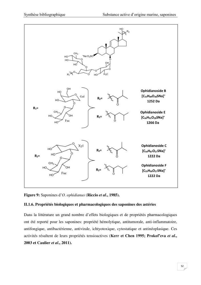Optimisation des conditions d’extraction par micro-ondes et ultrasons des saponines et des caroténoïdes de deux Échinodermes Astéroidea de la marge algérienne (Echinaster sepositus et Ophidiaster ophidianus) et étude de leurs activités biologiques