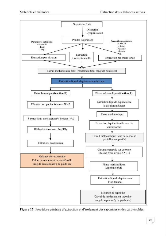 Optimisation des conditions d’extraction par micro-ondes et ultrasons des saponines et des caroténoïdes de deux Échinodermes Astéroidea de la marge algérienne (Echinaster sepositus et Ophidiaster ophidianus) et étude de leurs activités biologiques
