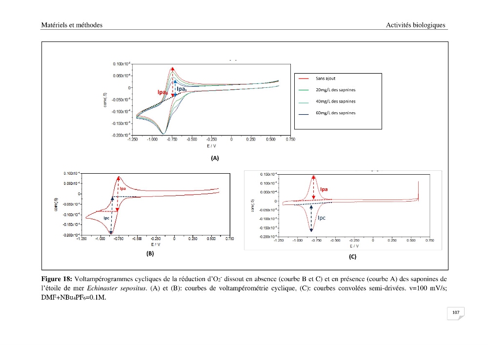 Optimisation des conditions d’extraction par micro-ondes et ultrasons des saponines et des caroténoïdes de deux Échinodermes Astéroidea de la marge algérienne (Echinaster sepositus et Ophidiaster ophidianus) et étude de leurs activités biologiques