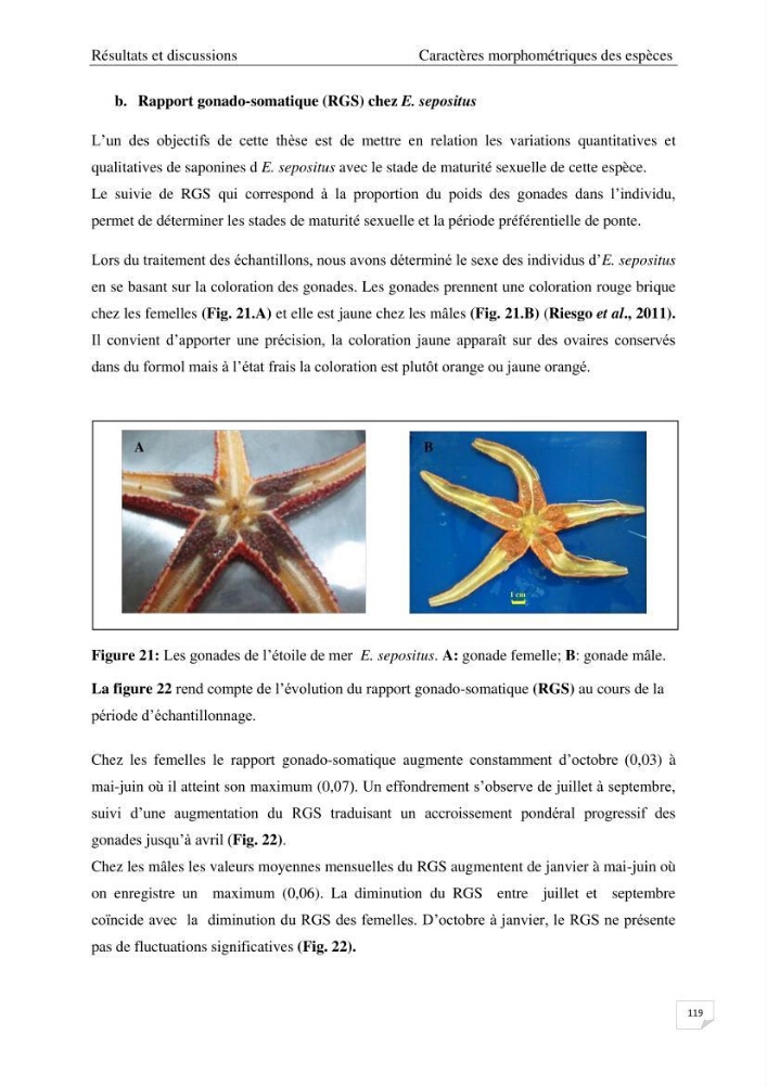 Optimisation des conditions d’extraction par micro-ondes et ultrasons des saponines et des caroténoïdes de deux Échinodermes Astéroidea de la marge algérienne (Echinaster sepositus et Ophidiaster ophidianus) et étude de leurs activités biologiques