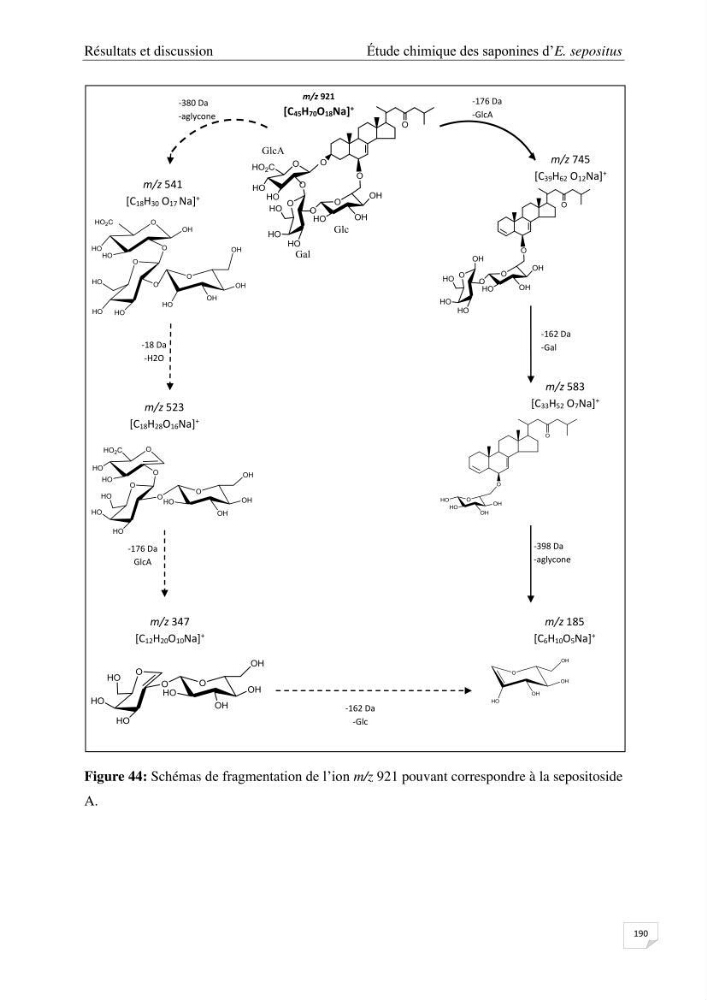 Optimisation des conditions d’extraction par micro-ondes et ultrasons des saponines et des caroténoïdes de deux Échinodermes Astéroidea de la marge algérienne (Echinaster sepositus et Ophidiaster ophidianus) et étude de leurs activités biologiques