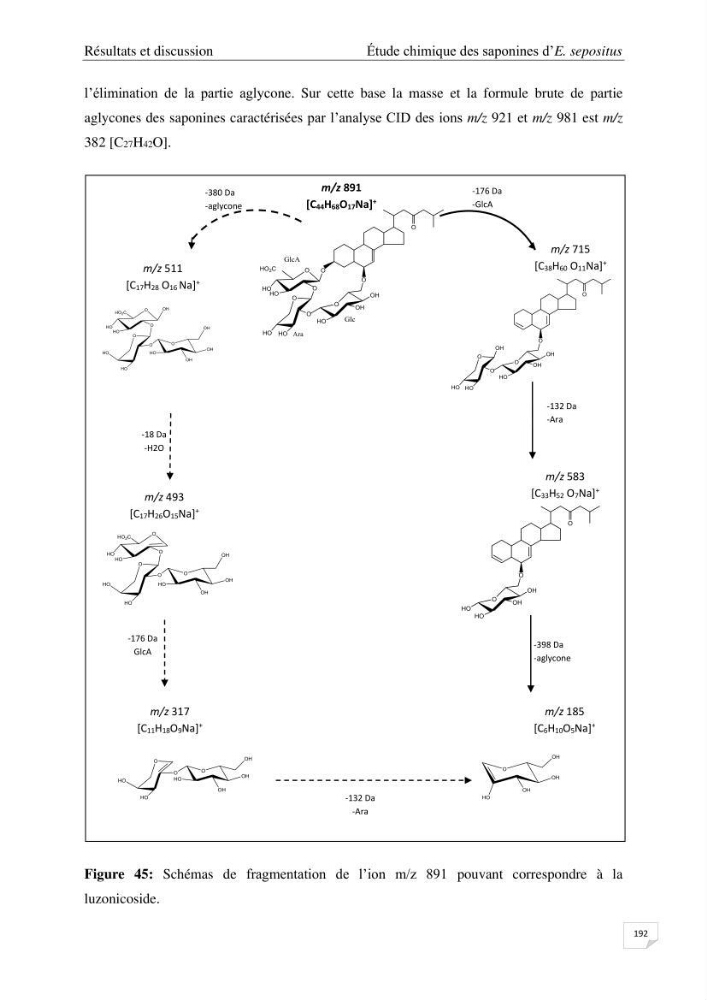 Optimisation des conditions d’extraction par micro-ondes et ultrasons des saponines et des caroténoïdes de deux Échinodermes Astéroidea de la marge algérienne (Echinaster sepositus et Ophidiaster ophidianus) et étude de leurs activités biologiques