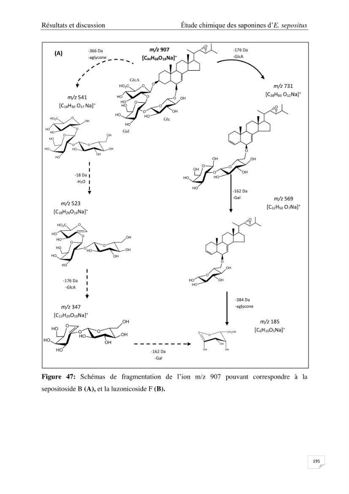 Optimisation des conditions d’extraction par micro-ondes et ultrasons des saponines et des caroténoïdes de deux Échinodermes Astéroidea de la marge algérienne (Echinaster sepositus et Ophidiaster ophidianus) et étude de leurs activités biologiques
