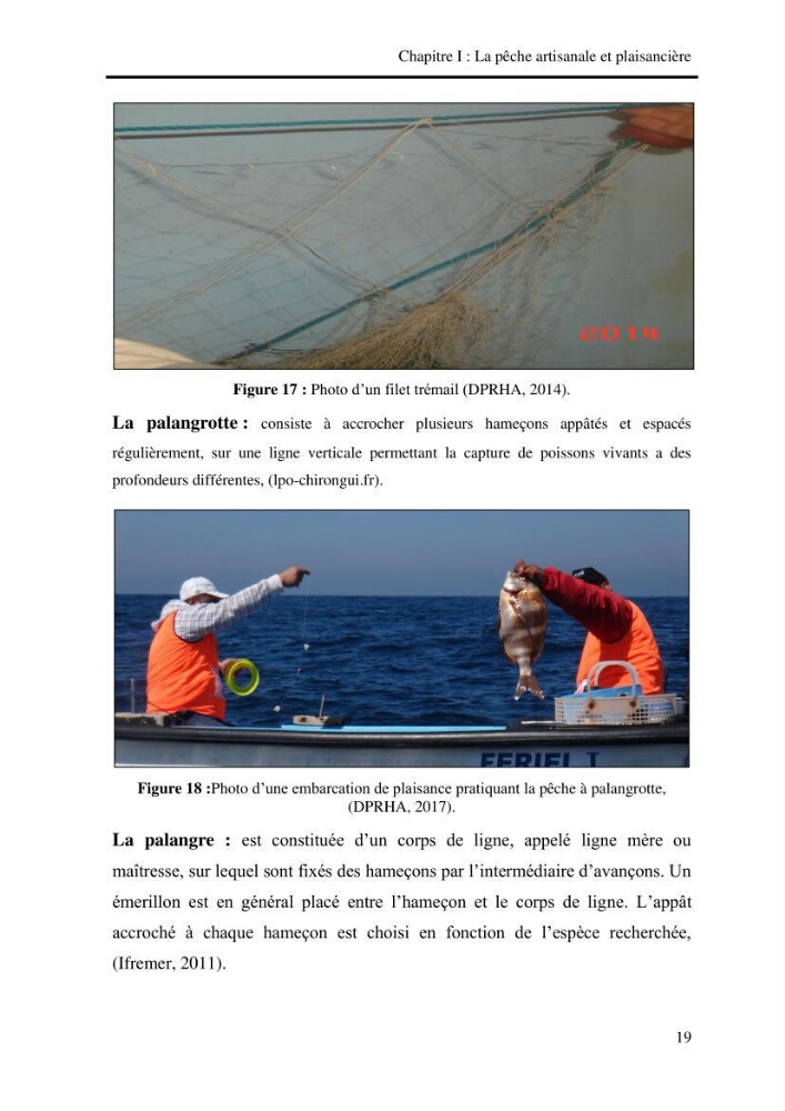 Impact de la pêche artisanale et plaisancière sur l’ichtyofaune de la zone Bab El Oued-Ain Benian.: