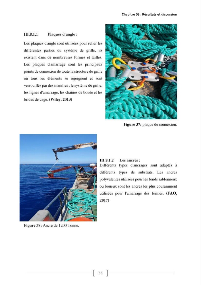 Etude Technico-économique et écologique de contribution des projets aqucoles au dévloppment durable en Algérie