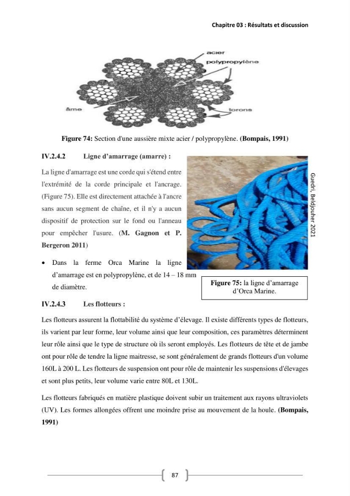 Etude Technico-économique et écologique de contribution des projets aqucoles au dévloppment durable en Algérie