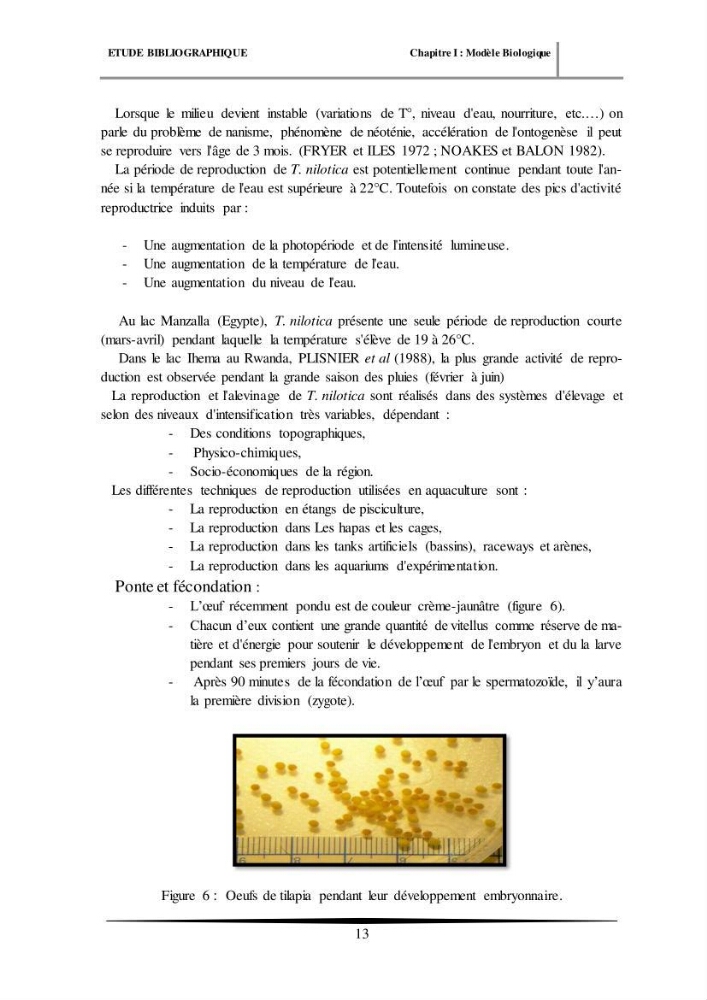 Essais d’élevage de Tilapia Nilotica en système biofloc : Effet sur la croissance, la reproduction et les paramètres du milieu
