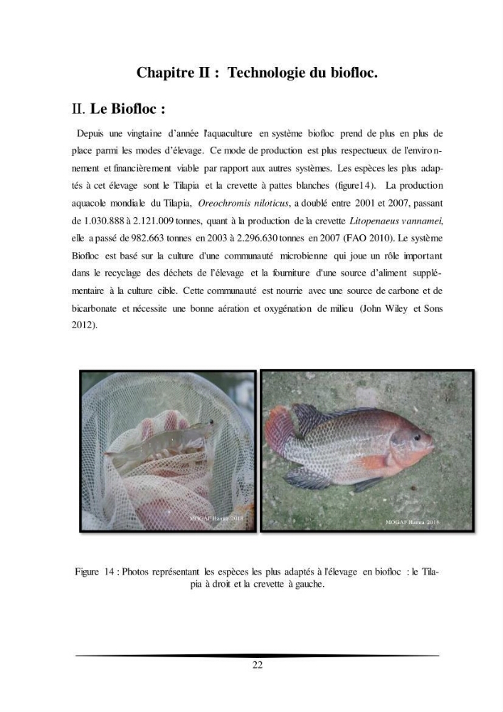 Essais d’élevage de Tilapia Nilotica en système biofloc : Effet sur la croissance, la reproduction et les paramètres du milieu