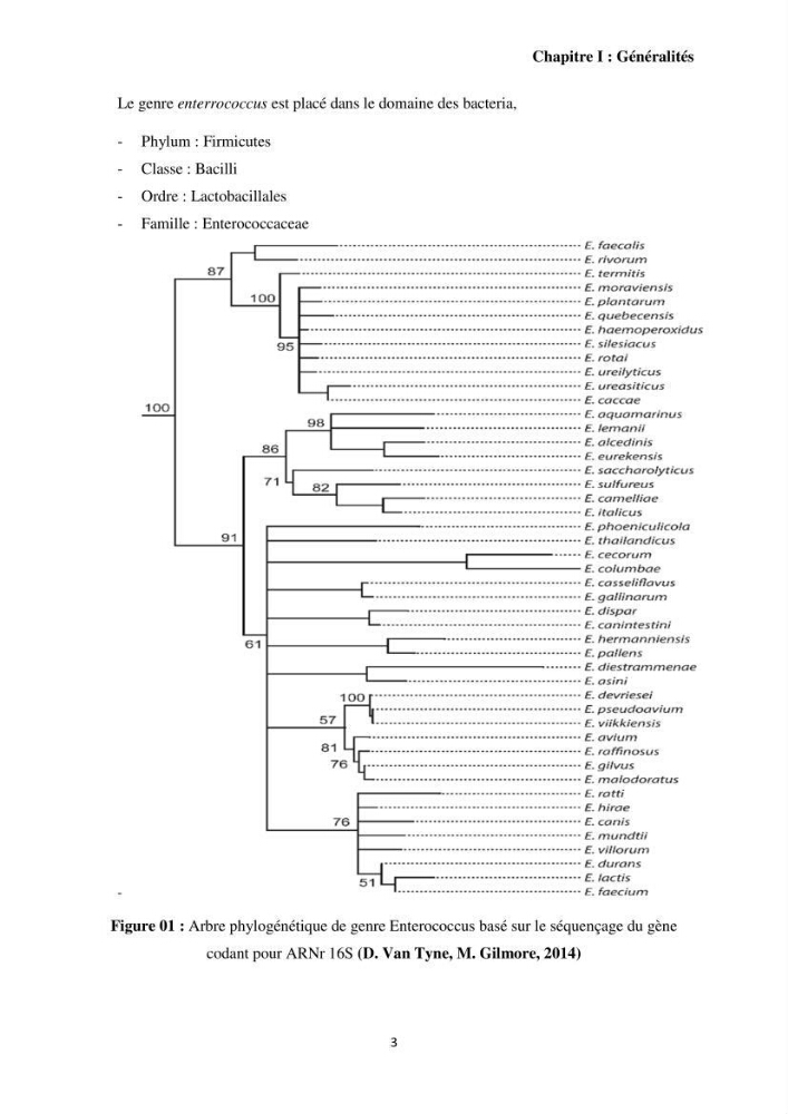 Caractérisation et évaluation de la virulence et de la résistance aux antibiotiques chez les entérocoques isolés dans le milieu marin