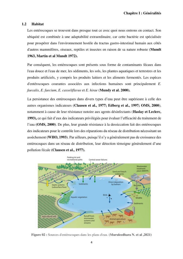 Caractérisation et évaluation de la virulence et de la résistance aux antibiotiques chez les entérocoques isolés dans le milieu marin
