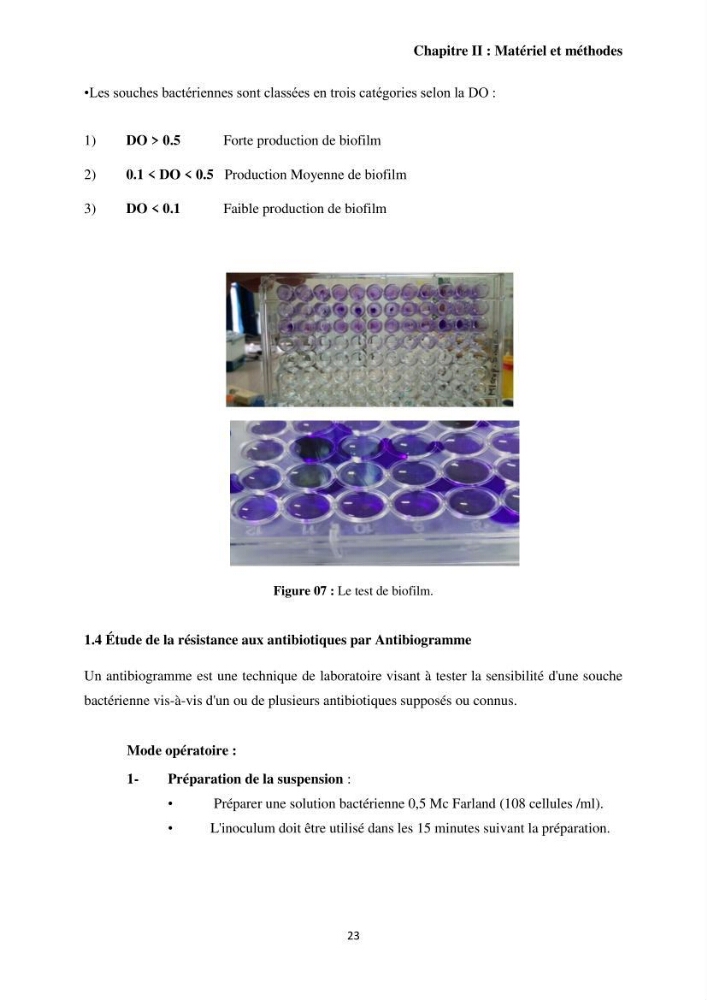 Caractérisation et évaluation de la virulence et de la résistance aux antibiotiques chez les entérocoques isolés dans le milieu marin