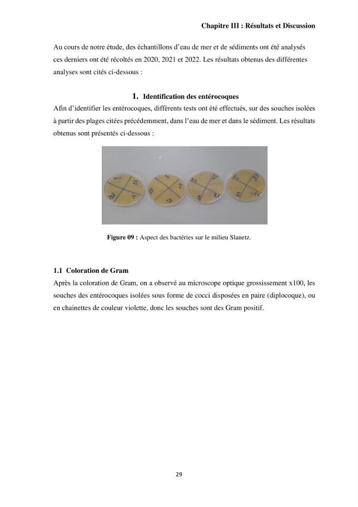 Caractérisation et évaluation de la virulence et de la résistance aux antibiotiques chez les entérocoques isolés dans le milieu marin